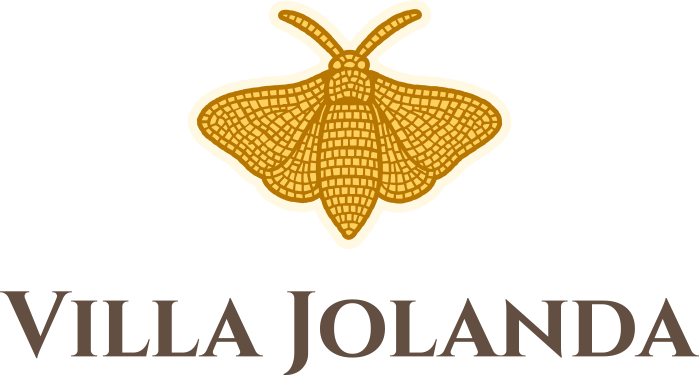 logo-VJ